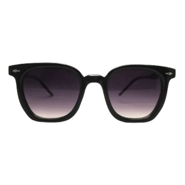 Wayfarer Full Rim Black Unisex Sunglasses