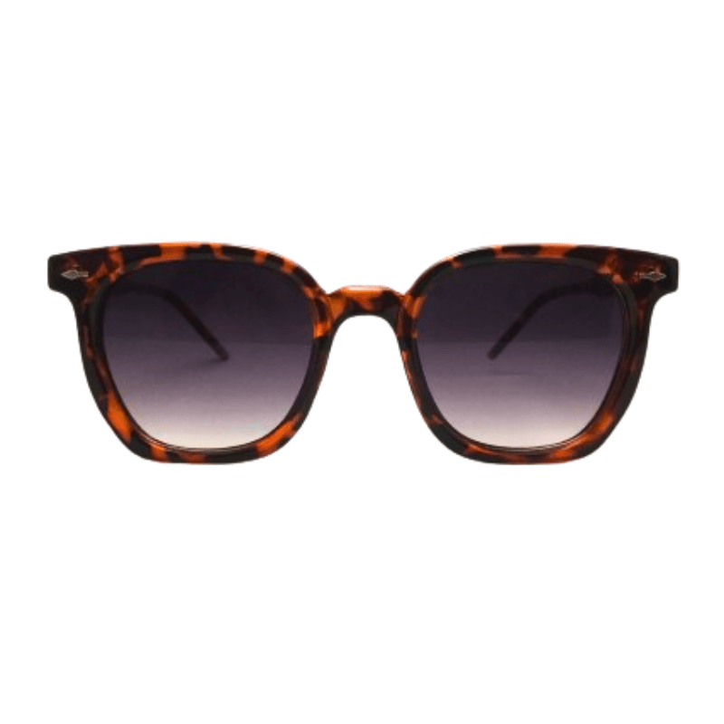 Framesvista Premium Havana Sunglasses - framesvista.com® - Buy ...