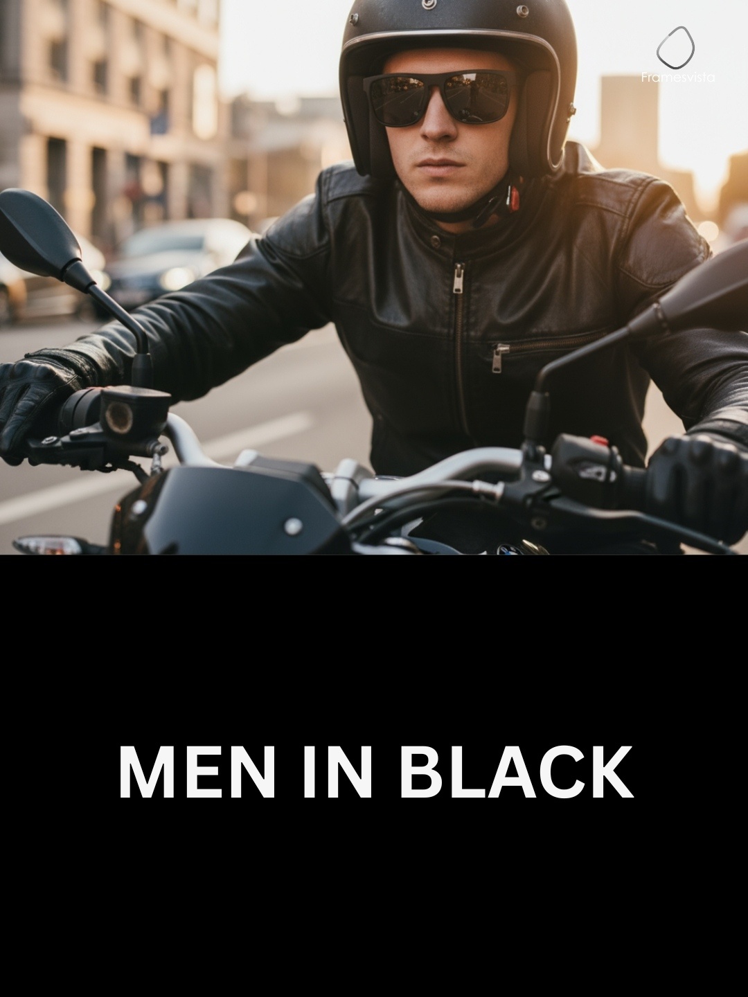 FramesvistaMattBlackPolarizedSunglassesUV400Protection