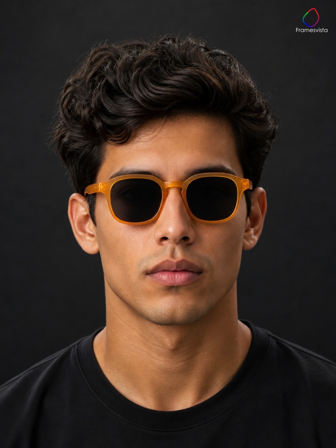 framesvistasunglassesamber