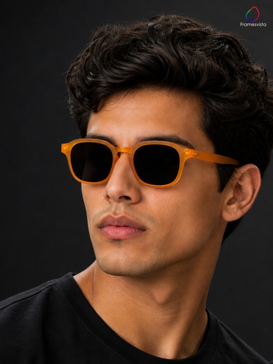 framesvistasunglassesamber